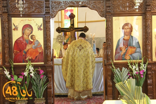 sha3aneensunday3 (6).JPG